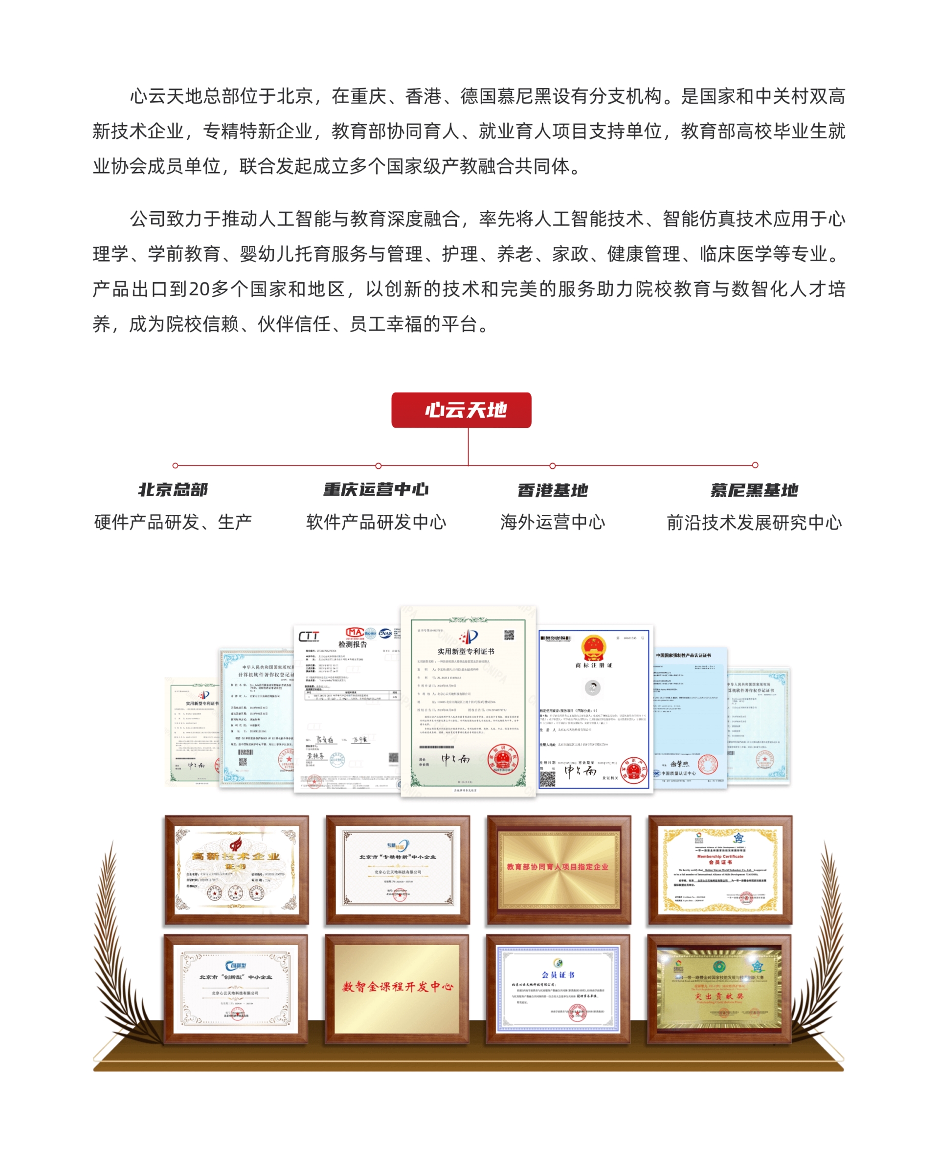 2、公司简介.png