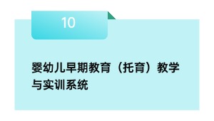 婴幼儿早期教育（托育）教学与实训系统